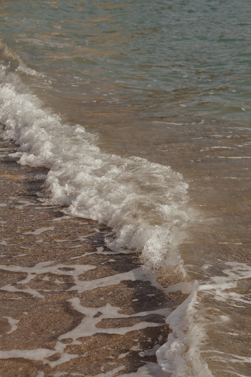 Summer Waves at the Beach